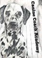 Canine Coach Academy